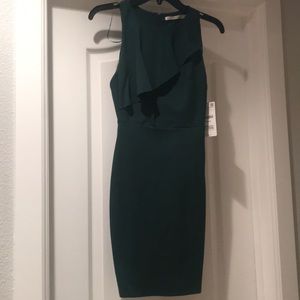 Brand new Zara forest green dress